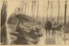 Bron: De Maasbode, 27 dec. 1929